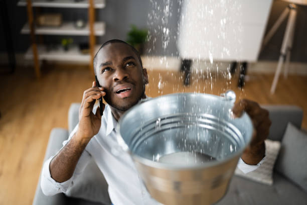 Best Sewage cleanup and water damage restoration  in Huntgburg, IN