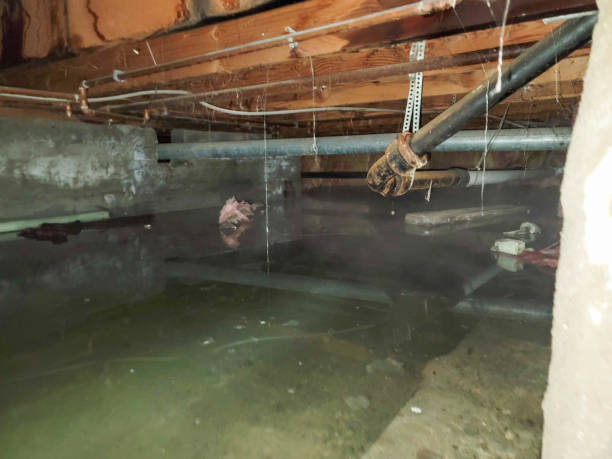 Water damage restoration process in IN