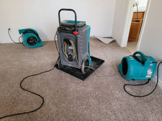 Best Water damage restoration near me  in Huntgburg, IN