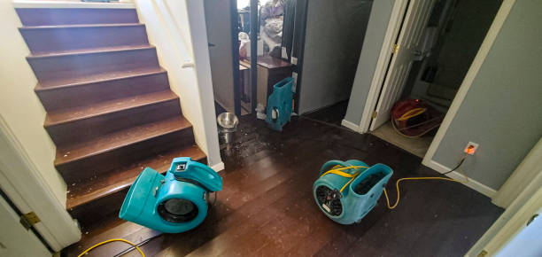 Best Water damage restoration near me  in Huntgburg, IN