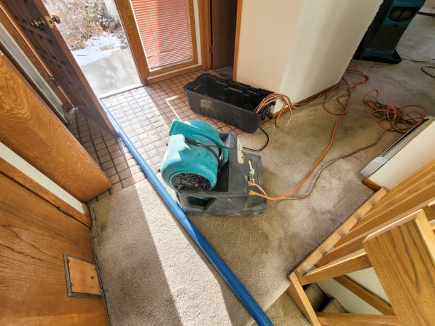 Best Mold removal after water damage  in Huntgburg, IN