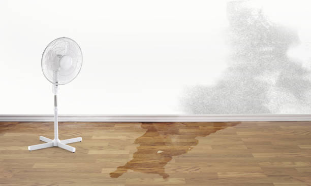 Best Residential water damage restoration  in Huntgburg, IN