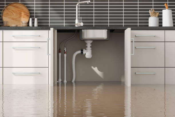 Best Ceiling water damage repair  in Huntgburg, IN