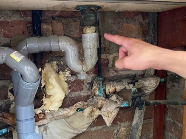 Best Fire Damage Restoration  in Huntgburg, IN