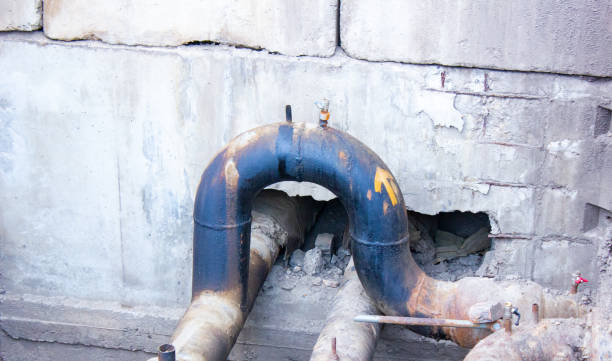 Best Carpet water damage restoration  in Huntgburg, IN
