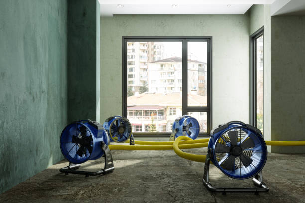 Best Basement water damage restoration  in Huntgburg, IN
